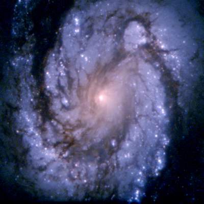 spiral galaxy M100.jpeg